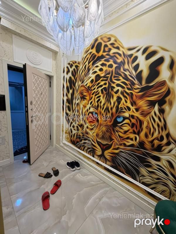 Satılır 4 otaqlı Bina evi menzil (Yeni tikili), 105 m², Nizami rayonu — Mənzil, Bakı (2)