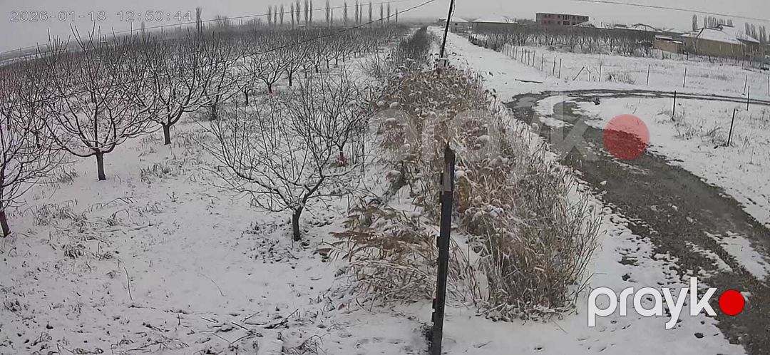 436 sot torpaq sahəsi, Quba r — Torpaq, Quba (9)