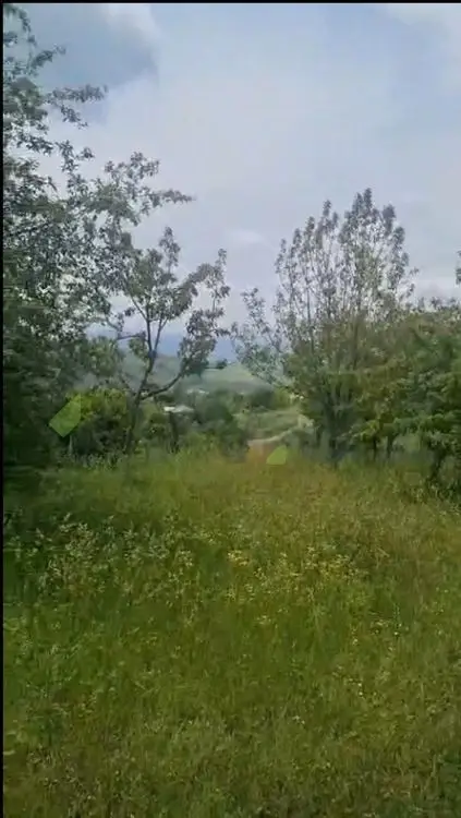 4 otaqlı Həyət evi Satılır, Şamaxı — Ev, villa, Şamaxı (4)