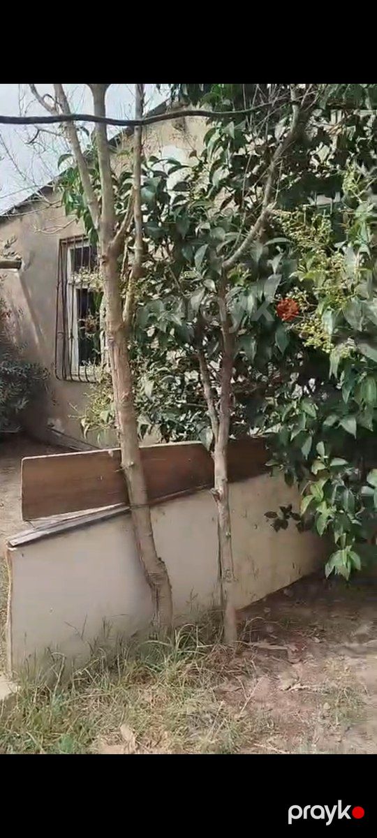 Həyət evi kirayə verilir, Binəqədi qəs — Ev, villa, Bakı (3)