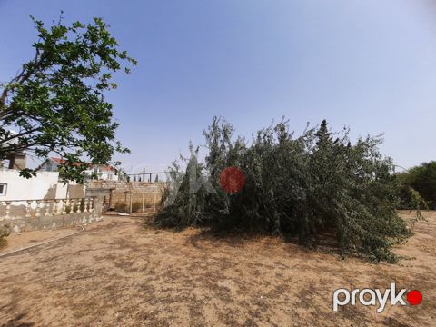 Obyekt icarəyə verilir, Türkan qəs — Bakı