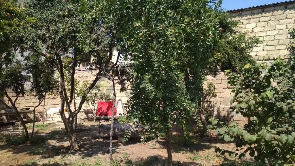 3 sot Torpaq Satılır, Xırdalan — Torpaq, Xırdalan (8)