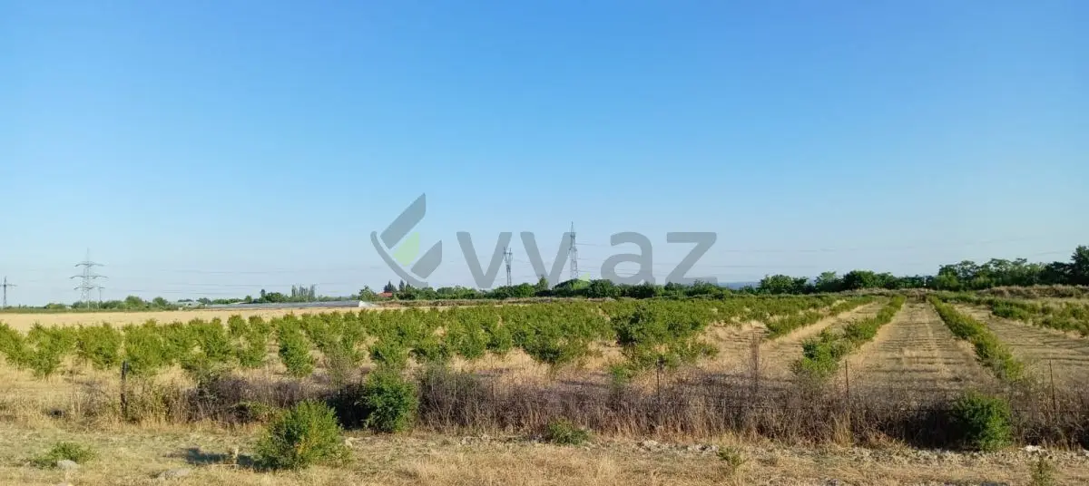 200 sot Torpaq Satılır, Göyçay — Göyçay
