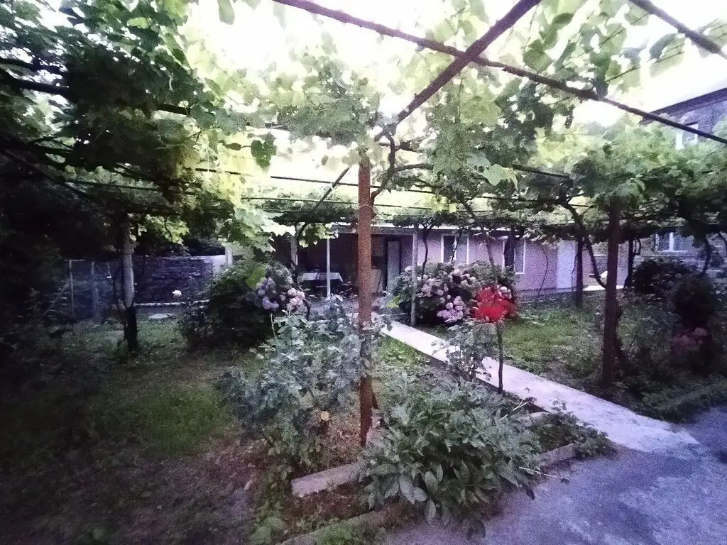 4 otaqlı Həyət evi Kirayə (günlük), Qax — Ev, villa, Qax (10)