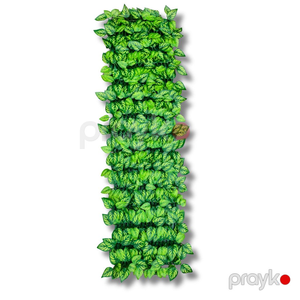 Divar paneli 0721, plastik, yaşıl, 60x250 sm — Mallar, Bakı (2)