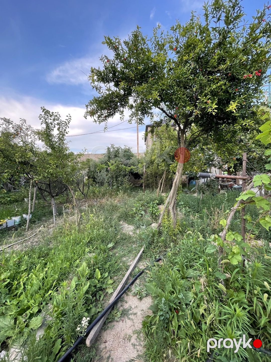 Satılır 7 otaqlı həyət evi/bağ evi 200 m² — Ev, villa, Bakı (6)