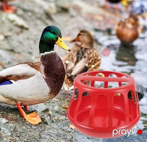Yem təknəsi toyuq və cücə üçün, plastik prl_0400 — Bakı