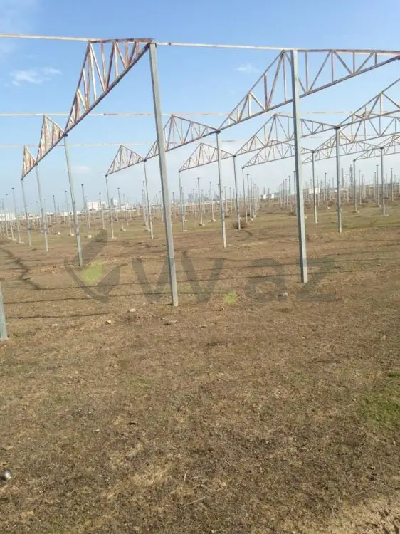 120 sot Torpaq Satılır, Novxanı, Abşeron — Torpaq (5)