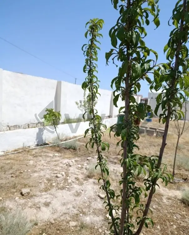 10 sot Torpaq Satılır, Türkan, Xəzər, Bakı — Bakı