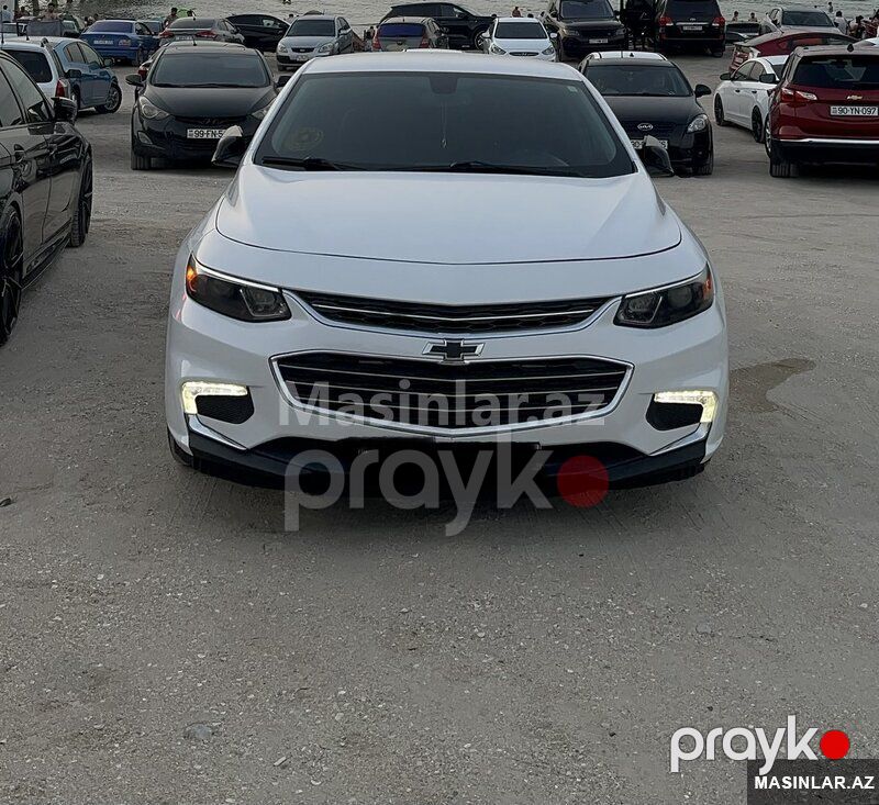 Chevrolet Malibu, 2019 il — Minik avtomobili icarəsi, Bakı (3)