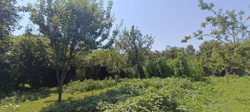 15 sot Torpaq Satılır, Qəbələ — Torpaq, Qəbələ (5)