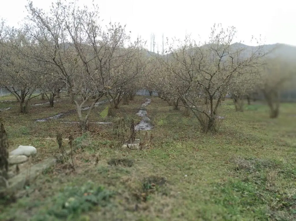 3 otaqlı Həyət evi Satılır, Qusar — Ev, villa, Qusar (9)