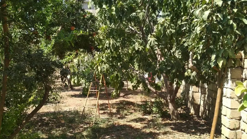 3 sot Torpaq Satılır, Xırdalan — Torpaq, Xırdalan (9)