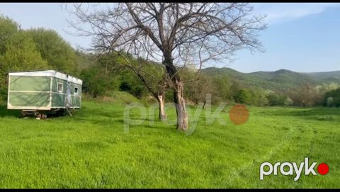 1050 sot torpaq sahəsi, Şamaxı r — Şamaxı
