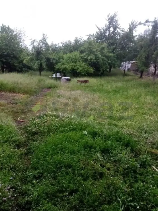 2 otaqlı Həyət evi Satılır, Lənkəran — Ev, villa, Lənkəran (5)