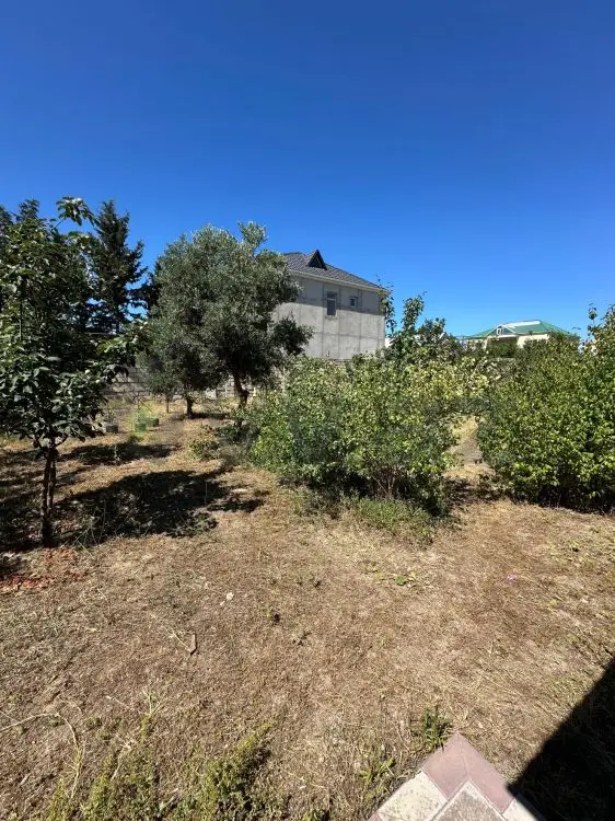 4 sot Torpaq Satılır, Buzovna, Xəzər, Bakı — Torpaq, Bakı (2)