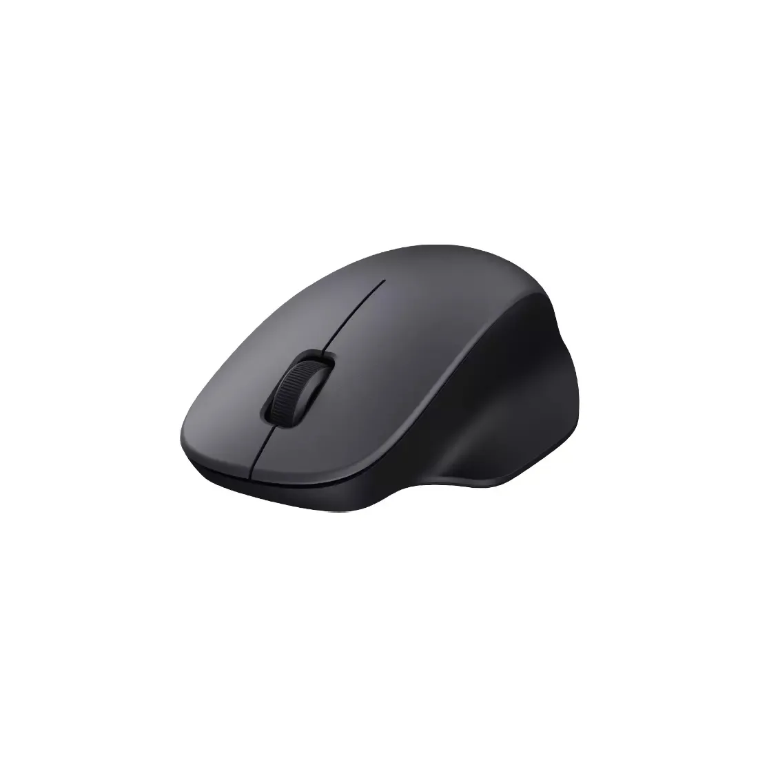 Xiaomi Wireless Mouse Comfort Edition Black (BHR9359GL) — Mallar, Bakı (2)