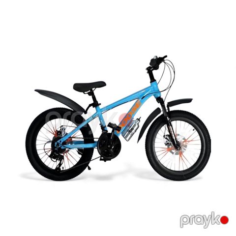 Velosiped Goose BB-886, 20'', göy — Bakı