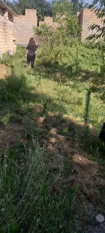 5 sot Torpaq Satılır, Qəbələ — Torpaq, Qəbələ (2)