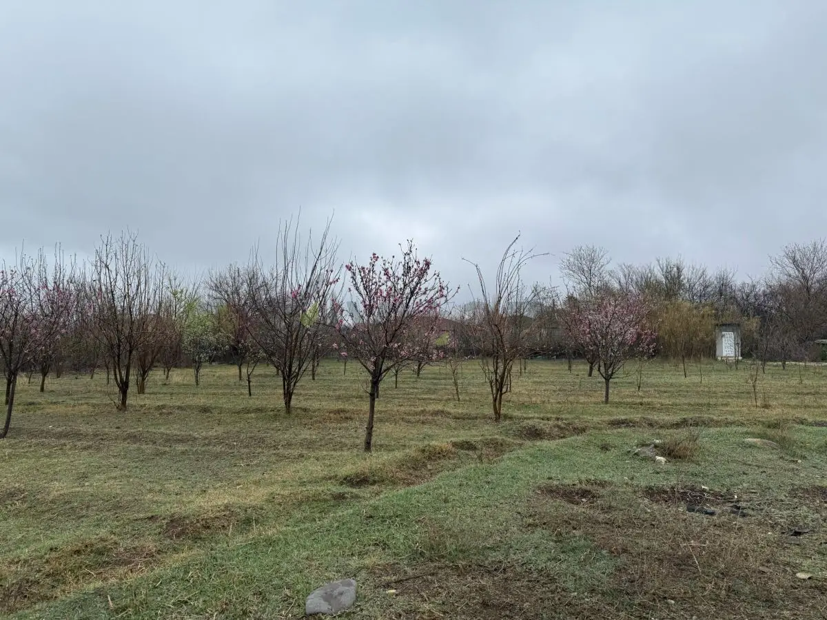 40 sot Torpaq Satılır, Tərtər — Torpaq, Tərtər (10)