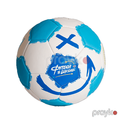 Futbol topu P111, ağ/mavi — Bakı