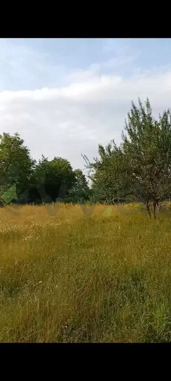 136 sot Torpaq Satılır, Quba — Torpaq, Quba (4)