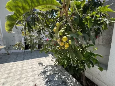 Satılır həyət evi, Məmmədli q — Ev, villa (8)