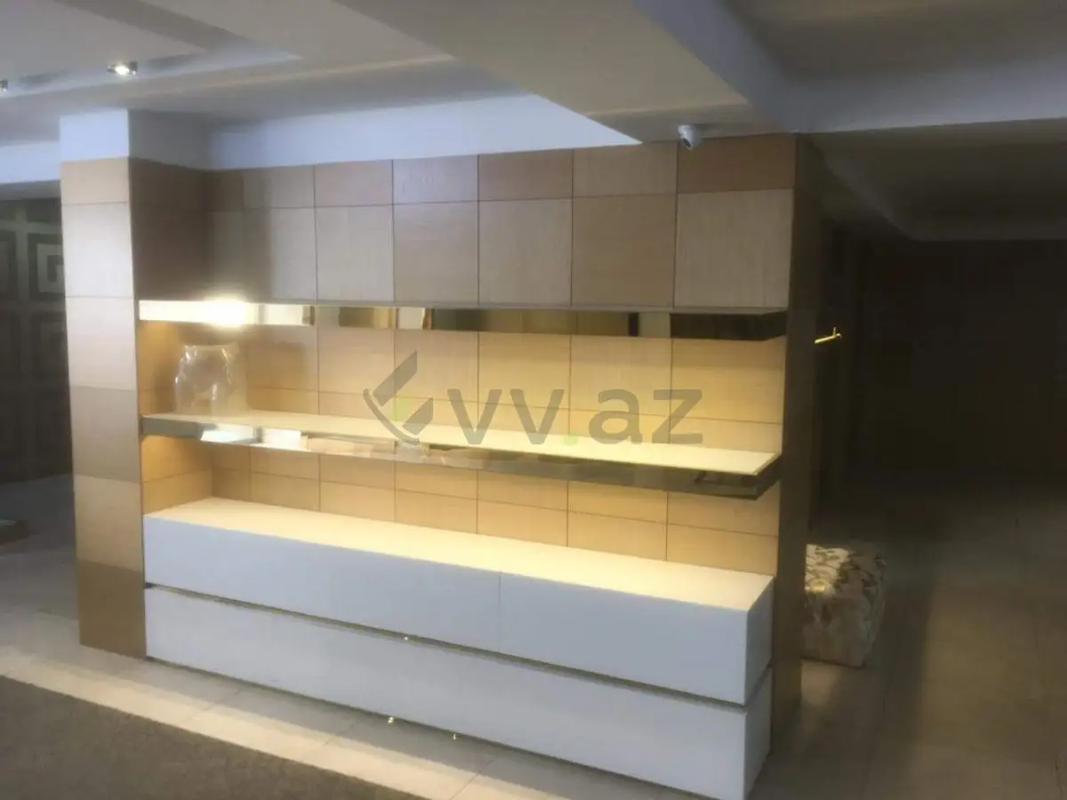 300 m² Obyekt / Ofis Kirayə, Nəsimi, Bakı — Əmlak, Bakı (2)