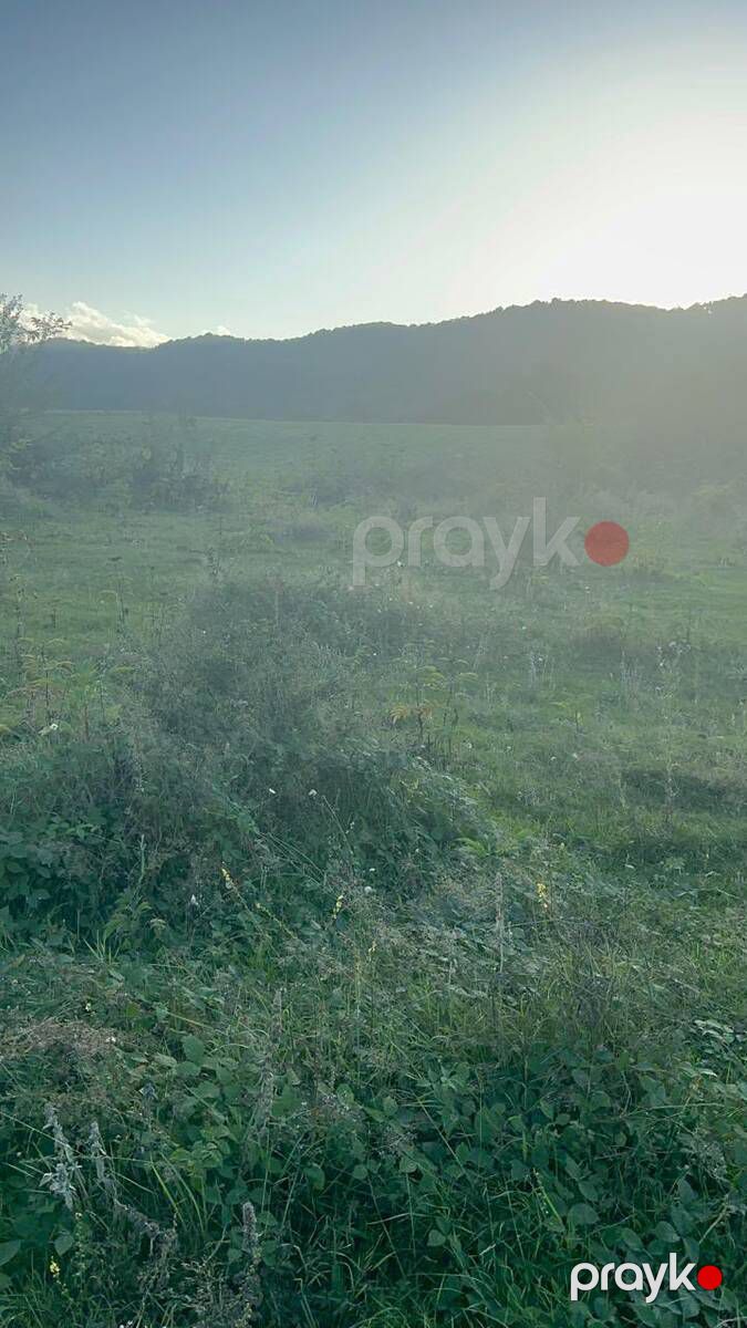Satılır torpaq 76 sot — Torpaq, Quba (5)