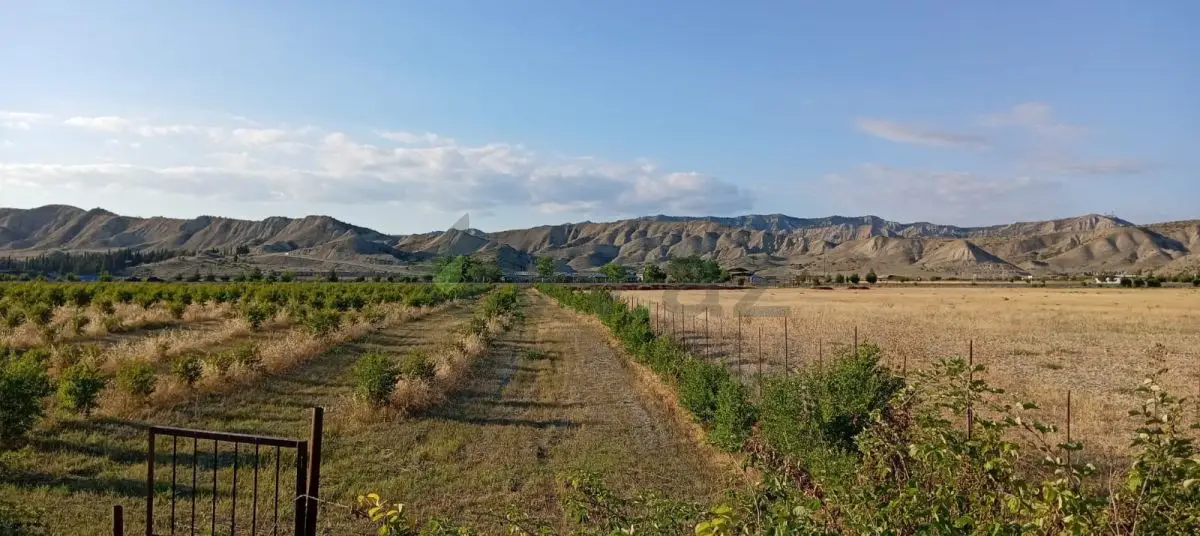 200 sot Torpaq Satılır, Göyçay — Torpaq, Göyçay (7)