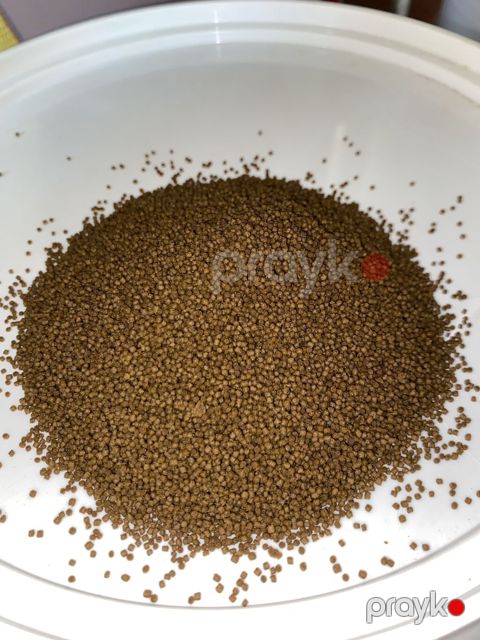 Alltech Coppens balıq yemi 3 ayrı ölçüdə. 0.3-0.5 mm 16 azn kq — Bakı