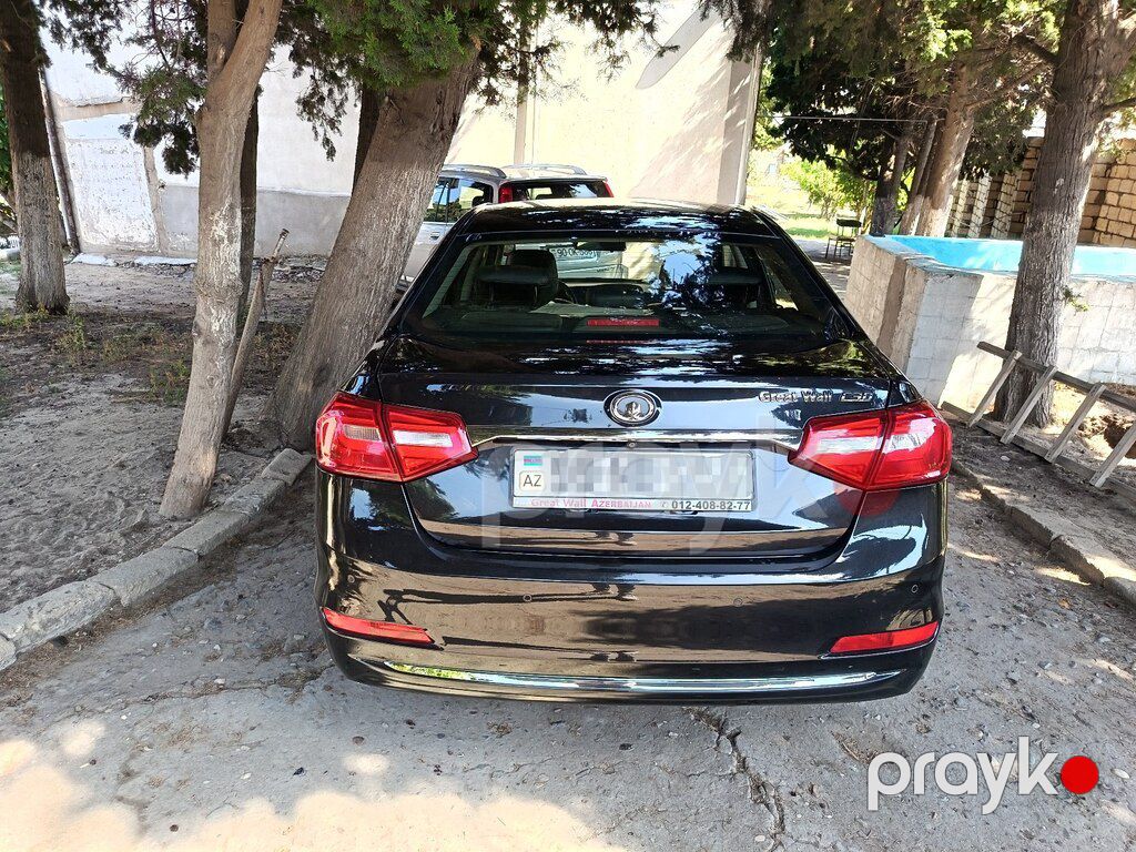 GWM (Great Wall Motor) Voleex C30, 1.5 L, 2018 il, 89 000 km — Avtomobillər, Bakı (4)
