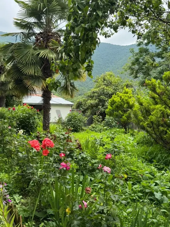 4 otaqlı Həyət evi Satılır, Şəki — Ev, villa, Şəki (7)