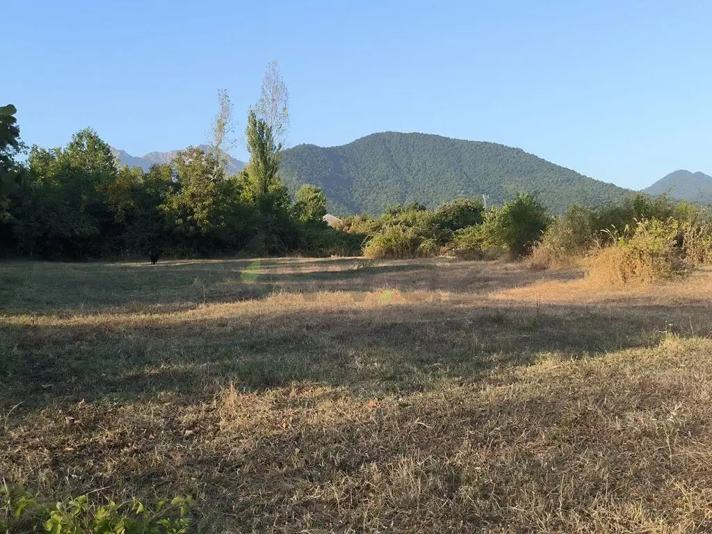 21 sot Torpaq Satılır, Qəbələ — Qəbələ