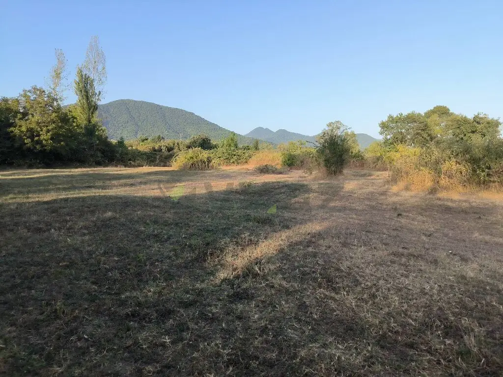 21 sot Torpaq Satılır, Qəbələ — Torpaq, Qəbələ (3)