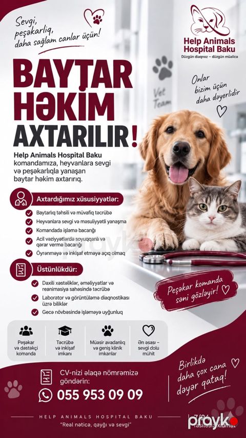 Baytar Həkim Axtarılır Help Animals Hospital Baku komandasına — Bakı