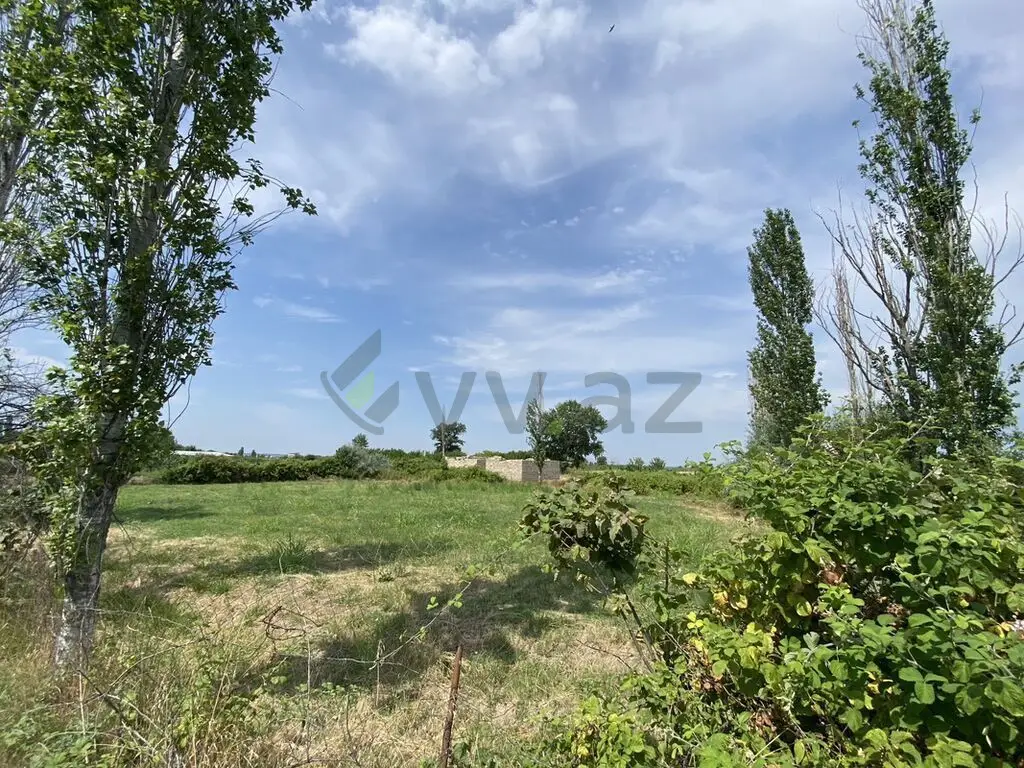 12 sot Torpaq Satılır, Şabran — Torpaq, Şabran (4)