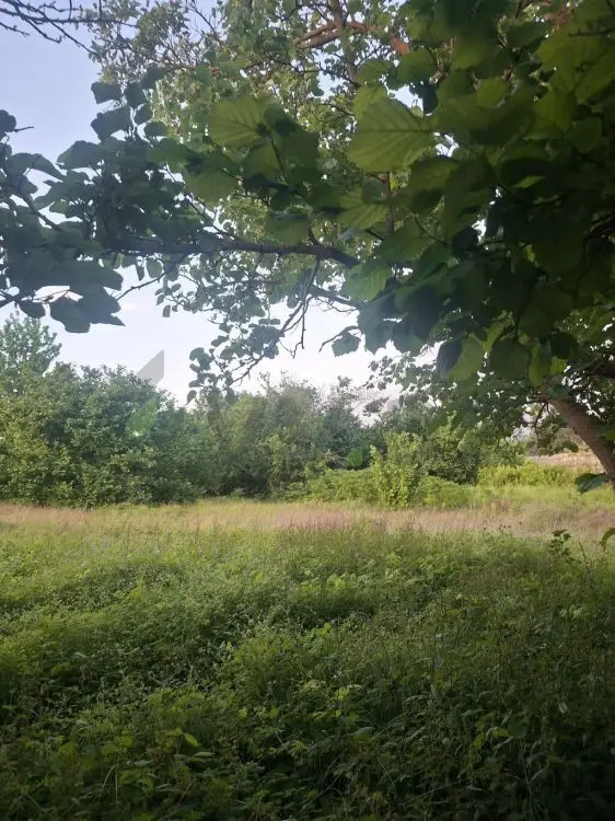 26 sot Torpaq Satılır, Xaçmaz — Xaçmaz