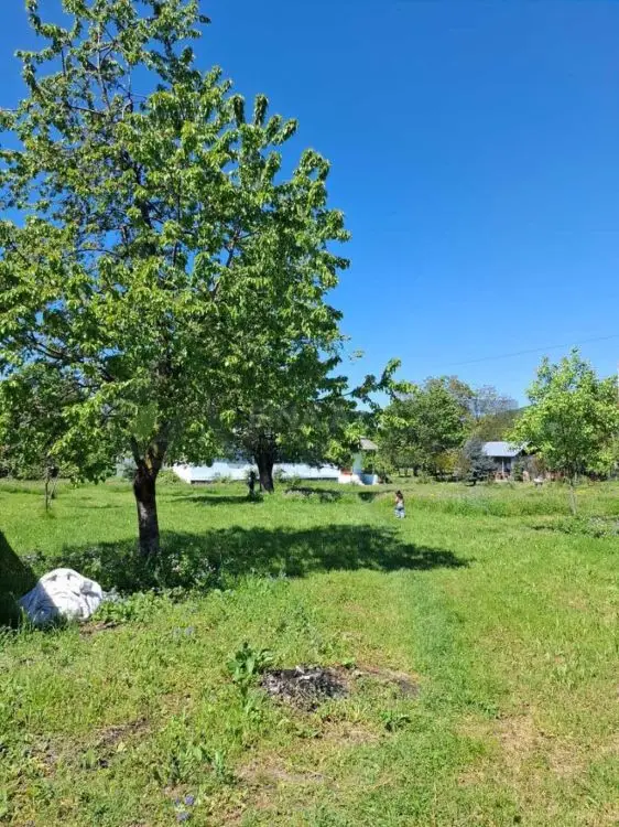 5 sot Torpaq Satılır, Qəbələ — Qəbələ