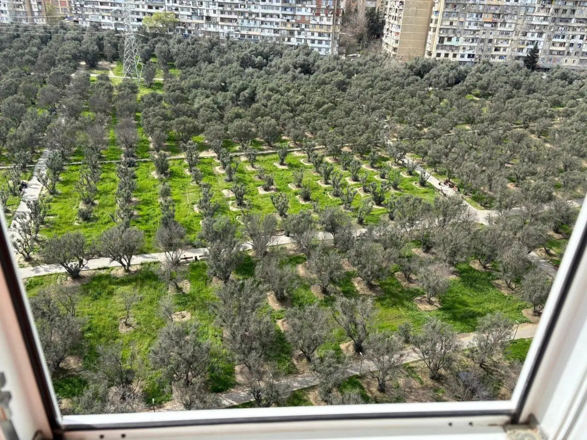 3 otaqlı mənzil Yeni tikili Kirayə, 6-cı mikrorayon, Binəqədi, Bakı — Mənzil, Bakı (12)