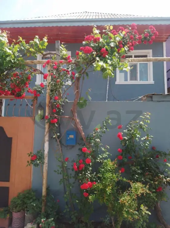 4 otaqlı Həyət evi Satılır, Masazır, Abşeron — Ev, villa (2)