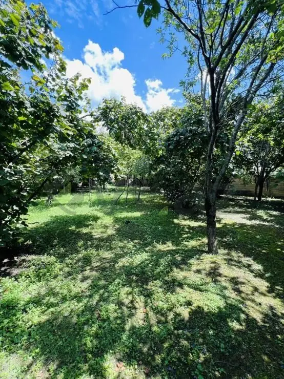 4 otaqlı Həyət evi Kirayə (günlük), Qax — Ev, villa, Qax (9)