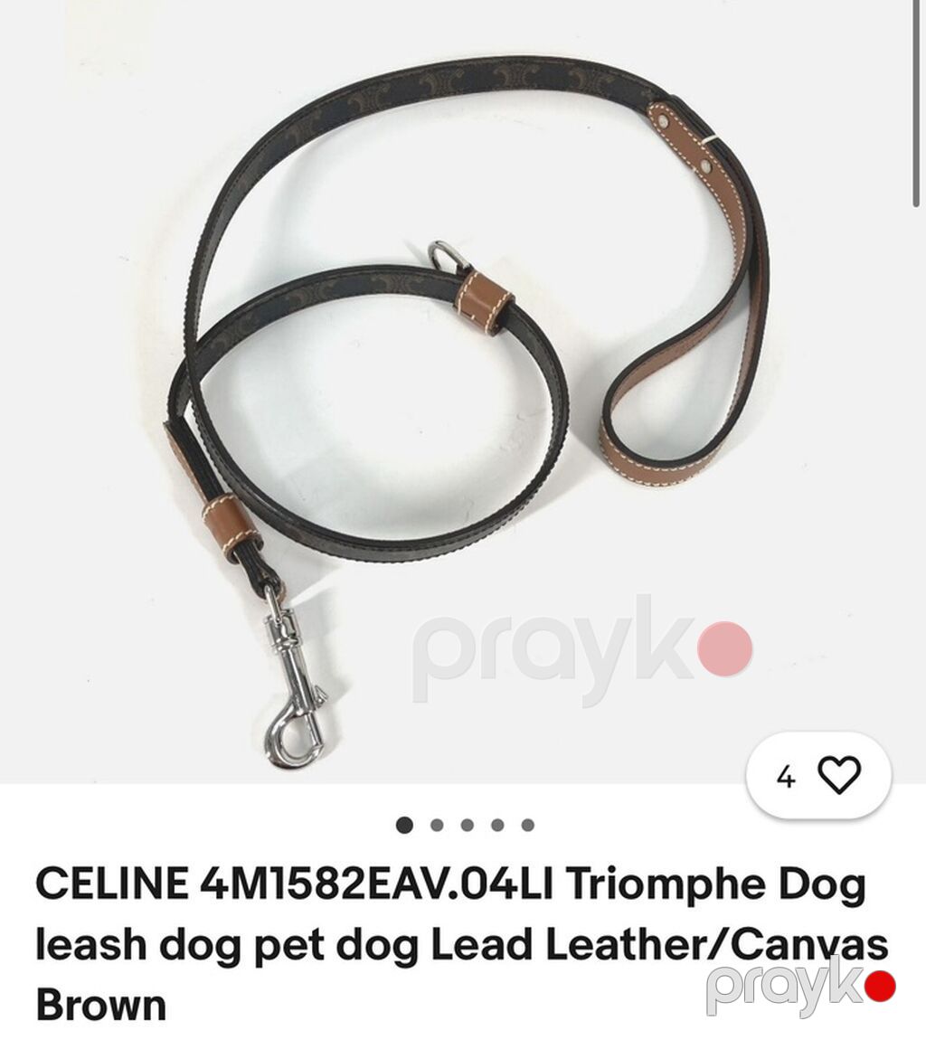 Orijinal Celine Triomphe it dizaynlı it üçün qoşqu və zəncir dəsti — Ətətlər və saliş, Bakı (3)