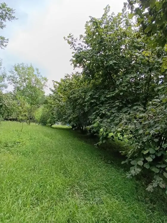4 otaqlı Həyət evi Satılır, Şəki — Ev, villa, Şəki (8)