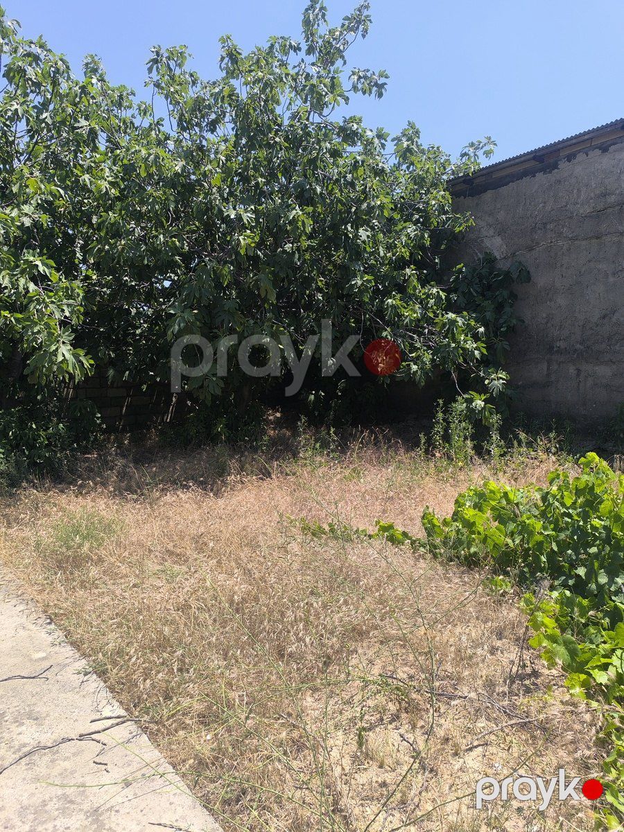 Satılır torpaq 6 sot — Torpaq, Bakı (8)