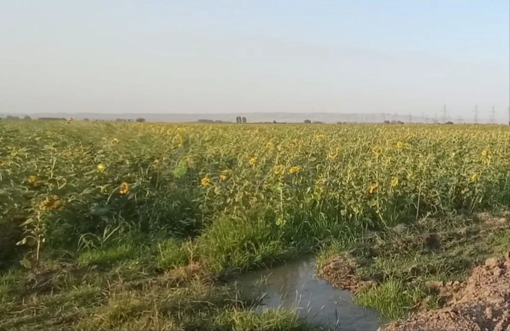 220 sot Torpaq Satılır, Samux — Torpaq, Samux (2)