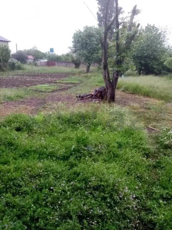 2 otaqlı Həyət evi Satılır, Lənkəran — Ev, villa, Lənkəran (9)