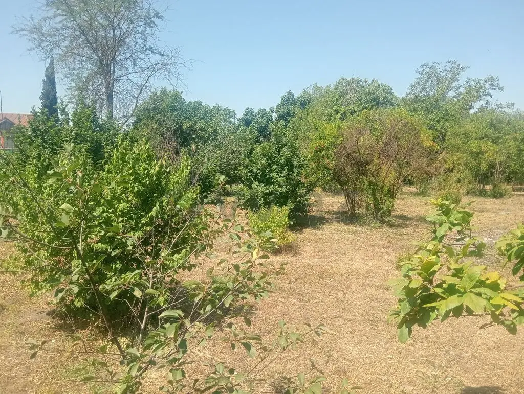 10 sot Torpaq Satılır, Bərdə — Torpaq, Bərdə (4)