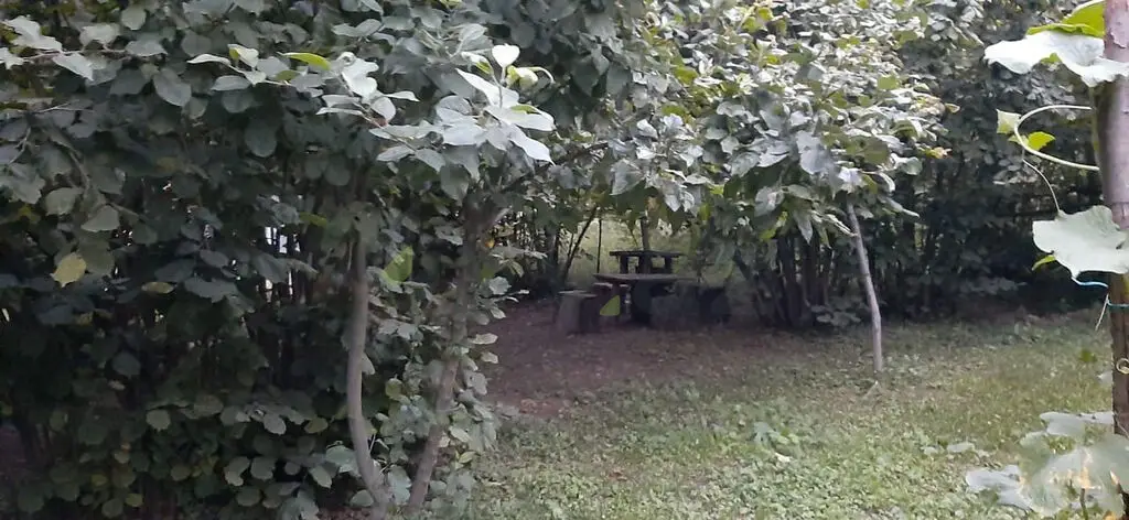 3 otaqlı Həyət evi Kirayə (günlük), Qax — Ev, villa, Qax (10)
