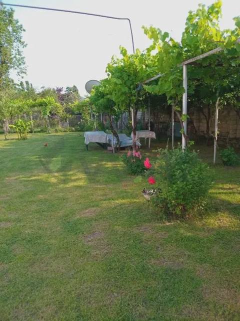 4 otaqlı Həyət evi Kirayə, Qax — Qax